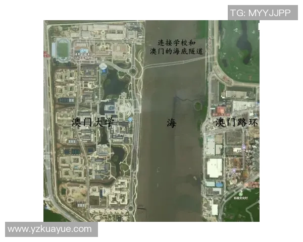 澳门与香港的文化碰撞与经济发展之路探讨