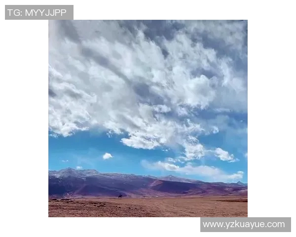 太阳与自由直播视频下载的完美结合探索与分享新视野