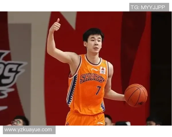 老鹰与独行侠对决分析谁将成为NBA赛季的真正强者